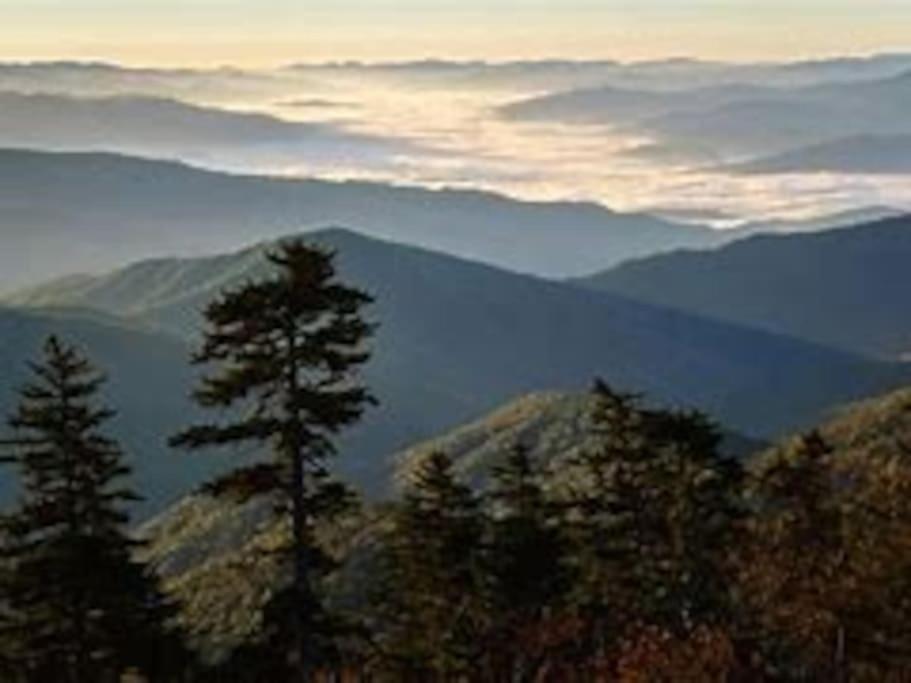 1 Mi To Dollywood Mins To All Attractions & Gsmnp Sevierville Esterno foto