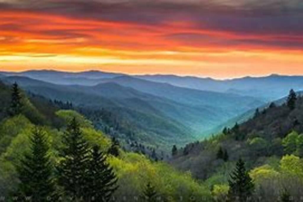 1 Mi To Dollywood Mins To All Attractions & Gsmnp Sevierville Esterno foto