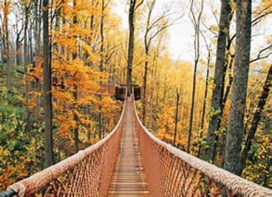 1 Mi To Dollywood Mins To All Attractions & Gsmnp Sevierville Esterno foto